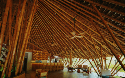 Flagship Program: Signatura Agrikultura Eco-Turismo Bamboo Paraiso Farm